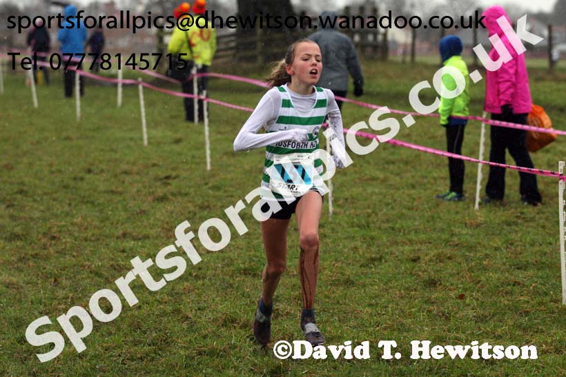 Girls under-13s North Eastern Cross Country, Sedgefield, County Durham. Photo: David T. Hewitson/Sports for All Pics